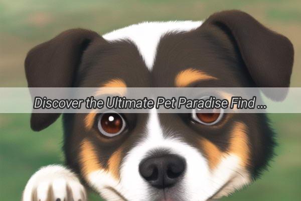 Discover the Ultimate Pet Paradise Find Out How Large a Dog You Can Accommodate in Your SpruceFilled Haven